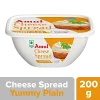 AMUL CHEESE SPREAD - Image 2